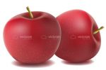 A Pair of Delicious Red Apples